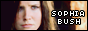 SB%2BButton%2B2.png